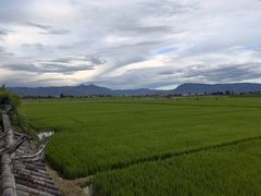 -喜林苑·稻田餐厅(品相府店)
