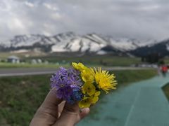 -新疆那拉提国家旅游度假区