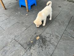 -途中饭店(开化店)