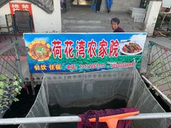 -白洋淀景区