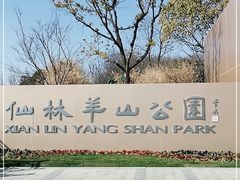 -羊山湖公园