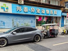 -邦泰·异宠动物医院