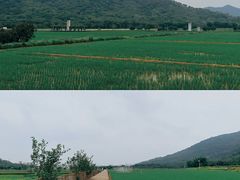 -风云岭森林公园