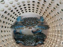 -小海豚•老字号海鲜餐厅(天涯店)