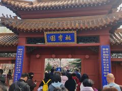 -桃花堤公园