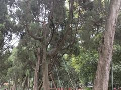 -成都武侯祠博物馆