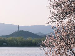 -颐和园