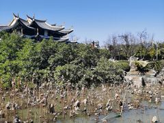 -江心屿景区