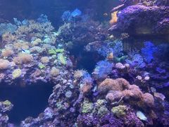 -海合安青岛极地海洋公园