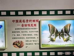 -上海昆虫博物馆