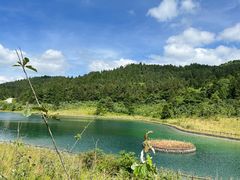 -武陵山森林公园