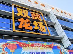 -双龙商场(环城南路店)