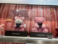 -ROSEONLY诺誓(广州K11店)