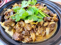 红烧东山羊-墨脱石锅椰子鸡•海鲜糟粕醋(榆亚路店)