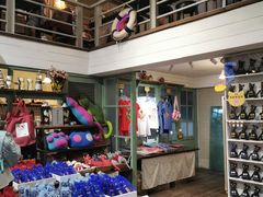 -猫咪博物馆(顶澳仔猫街店)