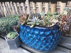 -北马山庄植趣咖啡