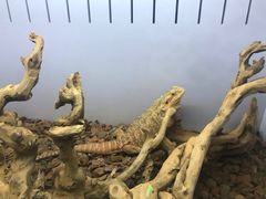 -昆明大悦城未来动物城(螺蛳湾中心店)