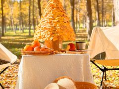 -渭河城市绿地运动公园