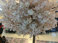 -素满香·素食自助餐厅(直营·大兴街店)