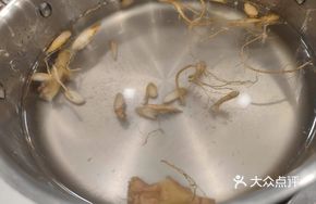 Forest Floor Ginseng Chicken Hot Pot