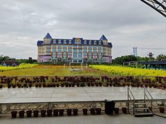 -百万葵园