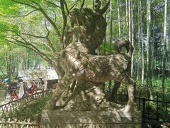 -西湖风景区十里琅珰-五云山