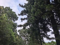 -东莞植物园