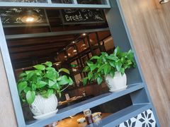 -船歌·鱼水饺青岛菜(黄岛珠江路店)
