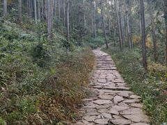 -冶父山国家森林公园