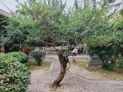 -胡氏民居-天水民俗博物馆