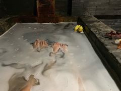 -北京美神宫艺术主题温泉酒店