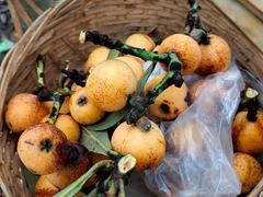 -塘栖枇杷特色园区