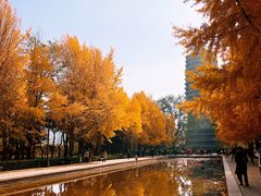 -玲珑塔公园