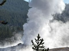 -老忠实间歇泉