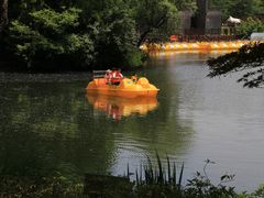 -上海滨江森林公园