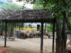 -西安秦岭野生动物园