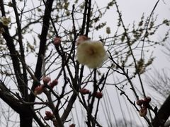 -蜀冈西峰生态公园