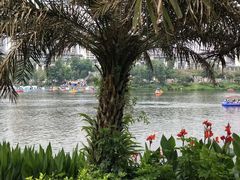 -枫香湖儿童公园