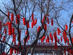 -北京石景山游乐园