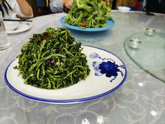 枸杞叶-三江源美食城