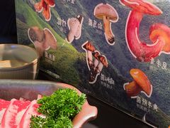 -季季山·云南野生菌火锅(上海首店)