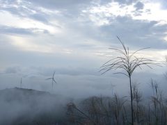 -东白山