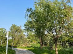 -白鹭湾湿地公园