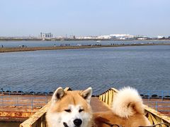 -锦州笔架山风景区