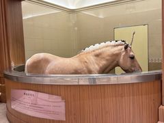 -海澜飞马水城