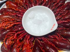 -杨氏青龙虾·羊蝎子(托乐嘉店)
