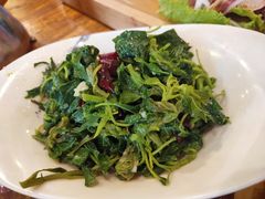 凉拌山野菜-沣峪鱼庄