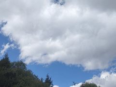 -香格里拉唐卡画院