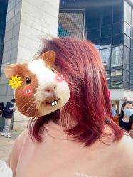 -川崎形象·GANO HAIR  salon