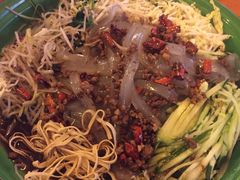 东北大拉皮-闯关东东北农家菜(崂山石老人店)